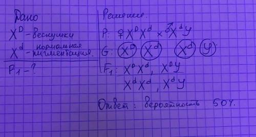 У человека веснушки доминируют над их отсутствием. Определи вероятность (%) рождения детей с веснушк