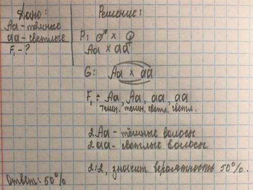 У человека тёмные волосы доминируют над светлыми. Установи вероятность (%) рождения темноволосых дет