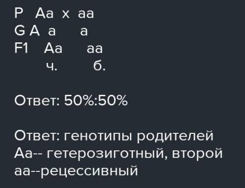 Буду очень благодарен, От скрещивания белого кролика с черной крольчихой получены как белые, так и ч