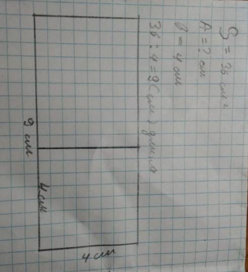 начерти прямоугольник, площадь которого 36 квадратных сантиметров, а ширина - 4 см, проведи прямую п
