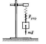 Укажите на рисунке силу упругости и силу тяжести, которая действует на тела