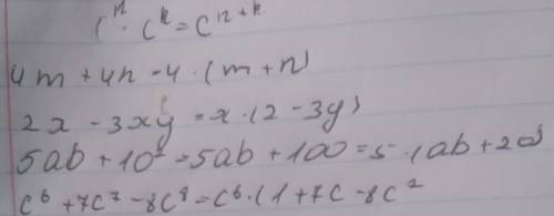 Винеси спільний множник за дужки: 4m+4n=2x-3xy=5ab+10^2=c^6+7c^7-8c^8=