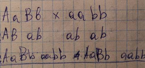 При скрещивании АаВвхаавв ожидают расщепление ( : 1)1:1:1:19:3:3:11:1