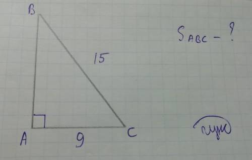 Катет прямокутного трикутника дорівнює 9 см,а гупотенуза 15 см.знайти площу трикутника