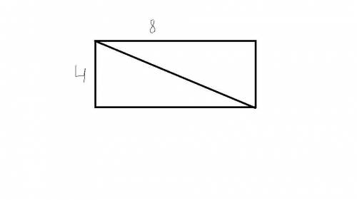 Длина прямоугольника 8 см, периметр 24 см. начерти такой же прямоугольник, раздели его на 2 равных т