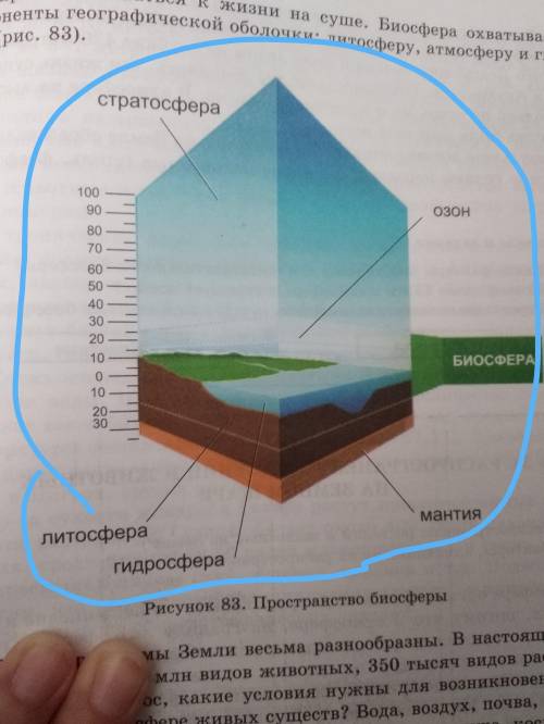 Укажите нижниюю границу биосферы какой слой на какой высоте ​