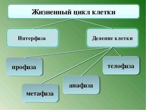 Подготовка к контрольной работе. ​ .1. назови элементы, которые входят в состав клетки. 2 , примеры 