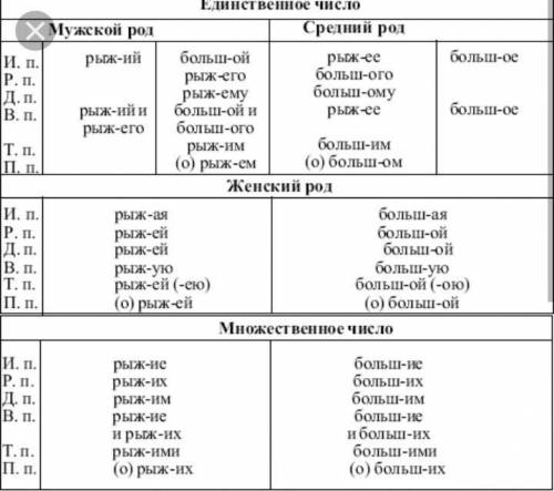 Просклонять 3прилагательных по таблице​(можете придумать свои)