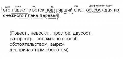 Синт.разбор это падает с веток подтаявший снег, освобождая из плена деревья