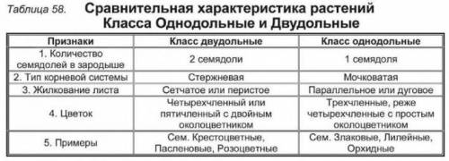 Сравните сходства и различия в строении семян двудольных и однодольных растений