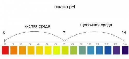 Как определить к какой среде относятся (щелочная/кислая) вещества? как узнавать рн вещества, не смот