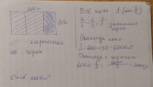 Длина поля 200 м , а ширина 30 м . 2/3 площади поля занимает картофель . остальную площадь занимает 