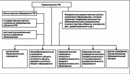 Заполните таблицу органы представитель полномичия