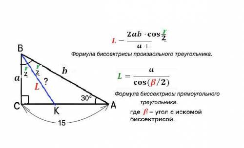 Упрямокутному трикутнику катет довжиною 15 см прилягає до кута 30°. знайдіть більшу бісектрису друго