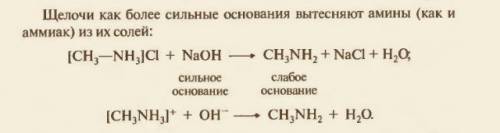 На примере показать амфотерные свойства аминокислот ch3-ch2-ch-nh2–cooh