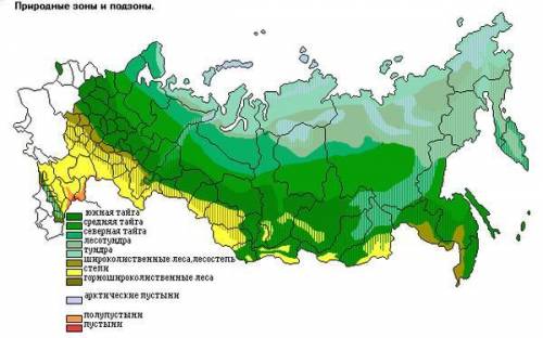 Вкаком крупном природном районе расположена зона степей?