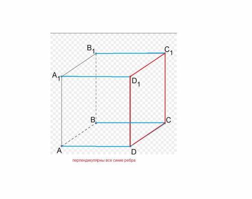 Дан куб . какая из прямых перпендикулярна плоскоти ..