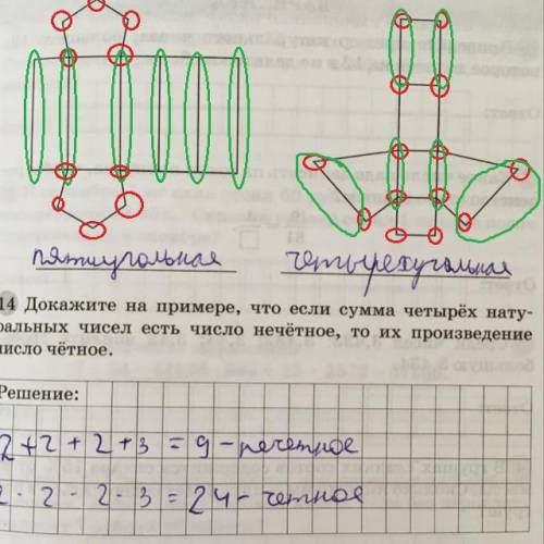 Ручкой обведите вершины и боковые ребра призмы , 15