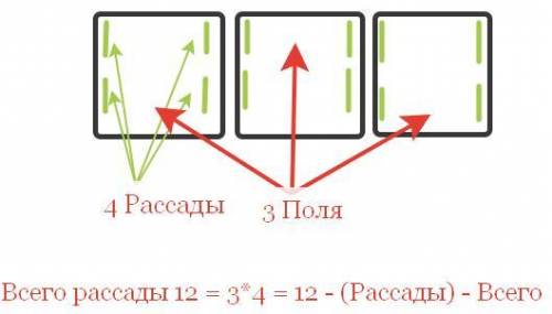 Кролик на 3 грядках посадил по 4 куста рассады. сколько всего капустной рассады посадил кролик. сдел