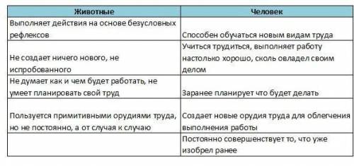 Заполни таблицу: труд животного и человека