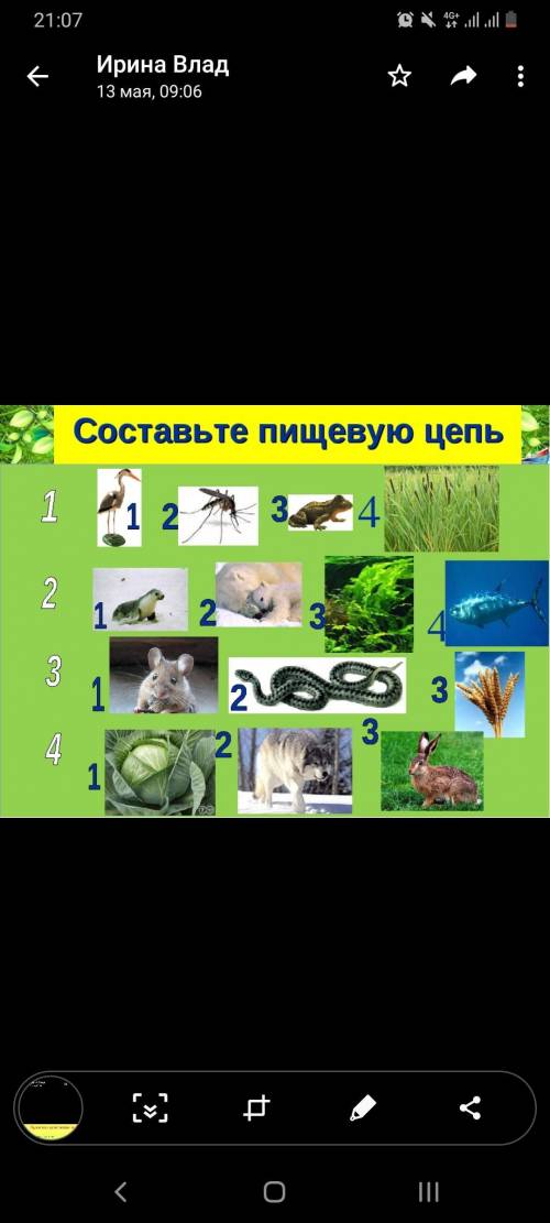 Составьте цепи питания. 6 класс