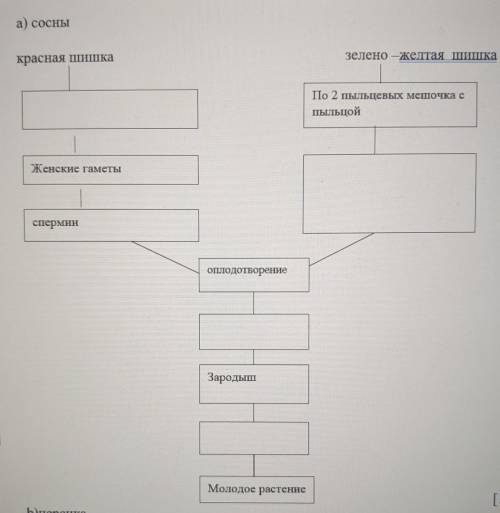 НАДО ДОПИСАТЬ ОСОБЕННОСТИ ЖИЗНЕННОГО ЦИКЛА​