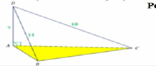 Пользуясь данными рисунка, определите расстояние от точки D до плоскости ABC. AD=7см, DB=11см, DC=18