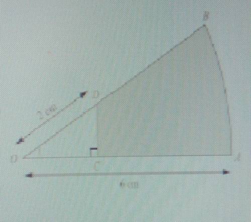 На рисунке изображён сектор круга с центром в точке О и радиусом, равным 3 см. ОD= 2 см и больше DOC