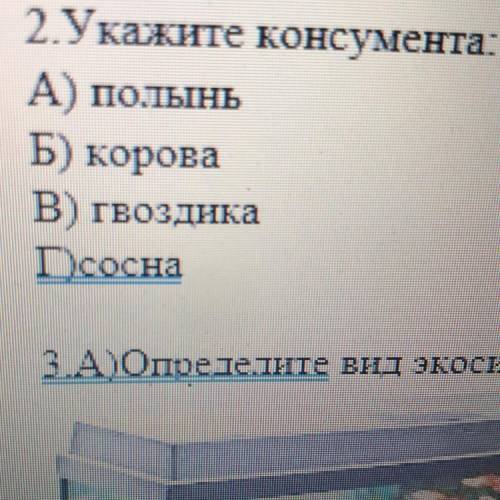 Укажите Консумента А полынь Б корова В гвоздика Г сосна