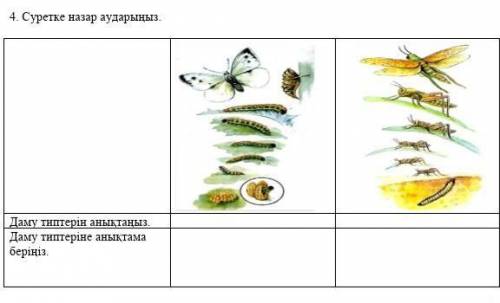 Биология керек. 7 сыныпДаму типтерін анықтаңыз. Даму типтеріне анықтама беріңіз. ​