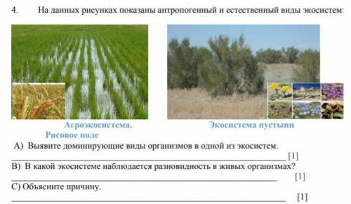 На данных рисунках показаны антропоггеный и естественный виды экосистем.выявите доминируещие виды ор