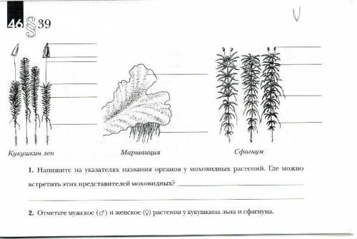 Решите контрольную по биологии!