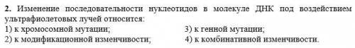 №1 Изменение последовательности нуклеотидов в молекуле ДНК под воздействием ультрафиолетовых лучей о