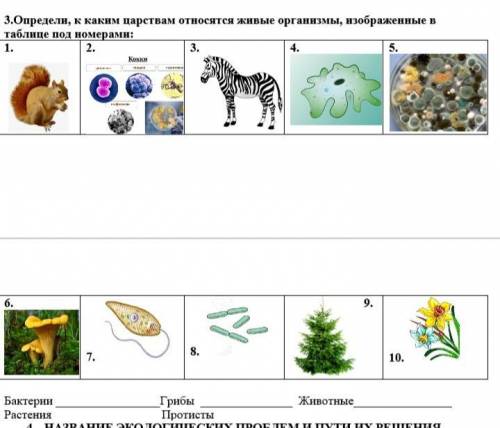 3.Определи, к каким царствам относятся живые организмы, изображенные в таблице под номерами