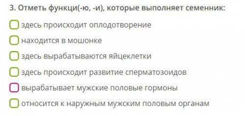 Отметь функци(-ю, -и), которые выполняет семенник: здесь происходит оплодотворение находится в мошон