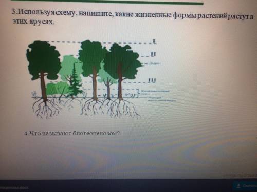 НУЖНО ЧЕРЕЗ 10 МИНУТ БУДУ БЛАГОДАРНА