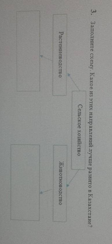 Заполните схему.Какое из этих направлений лучше развито в Казахстане?​