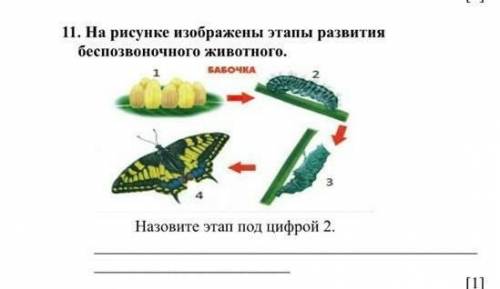 За ответ обязательно подпишусь, и поставлю