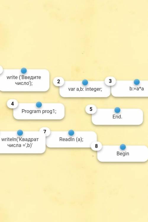 Дана программа, которая считает квадрат введенного числа.Необходимо расположить компоненты программы