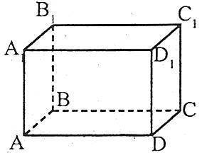 Дано прямокутний паралелепіпед ABCDA1B1C1D1.Серед пар прямих виберіть пари мимобіжних прямих.