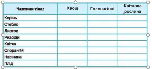 10. Порівняйте будову хвощів, голонасінних та квіткових рослин