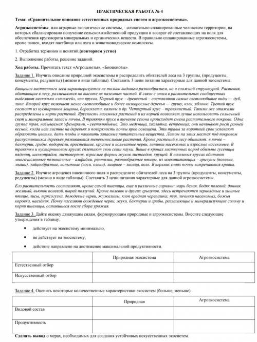 решить практическую работу