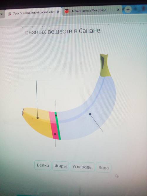 Добавьте подписи к рисунку, где схематично изображено содержание разных веществ в банане.