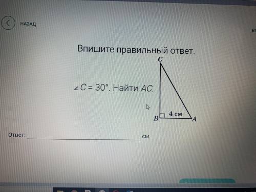 Выпиши правильный ответ.