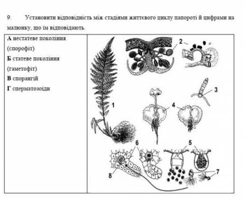 Вся надежда на вас решить ​