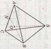 Высота SO правильной пирамиды SABC равна 4√3 см, а высота BN её основания ABC равна 6 см. Найти уго