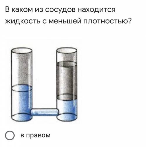 •в правом •в левом •одинаковы