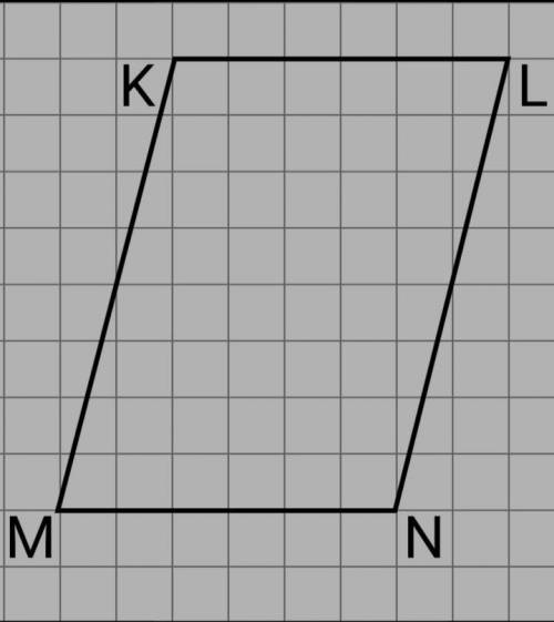 На клетчатой бумаге с размером клетки 2×2см изображён параллелограмм MKLN. Найдите ctg∠KMN.