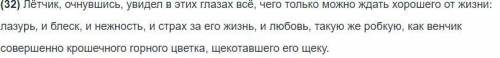 Укажите количество грамматических основ в предложении:Лётчик, очнувшись, увидел в этих глазах всё,