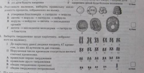 Виберіть твердження. щодо каріотипу , зображеному на малюнку